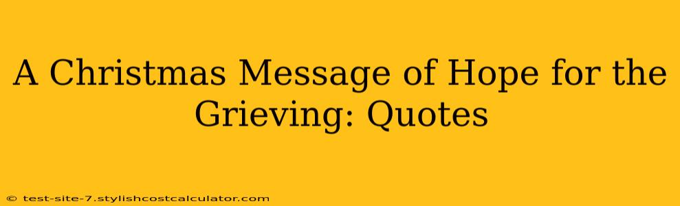 A Christmas Message of Hope for the Grieving: Quotes