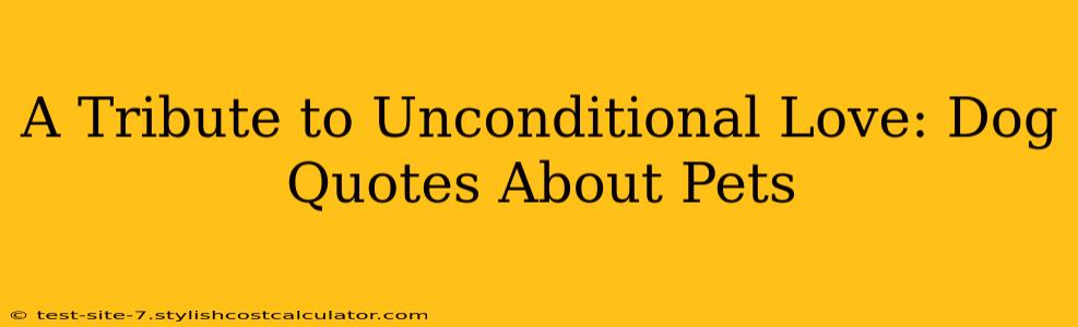 A Tribute to Unconditional Love: Dog Quotes About Pets