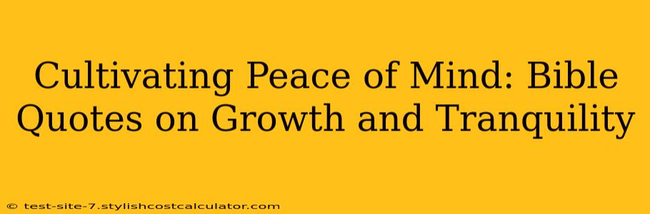 Cultivating Peace of Mind: Bible Quotes on Growth and Tranquility