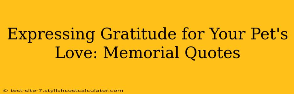 Expressing Gratitude for Your Pet's Love: Memorial Quotes