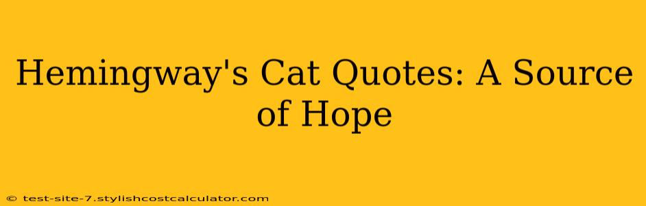 Hemingway's Cat Quotes: A Source of Hope