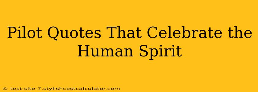 Pilot Quotes That Celebrate the Human Spirit