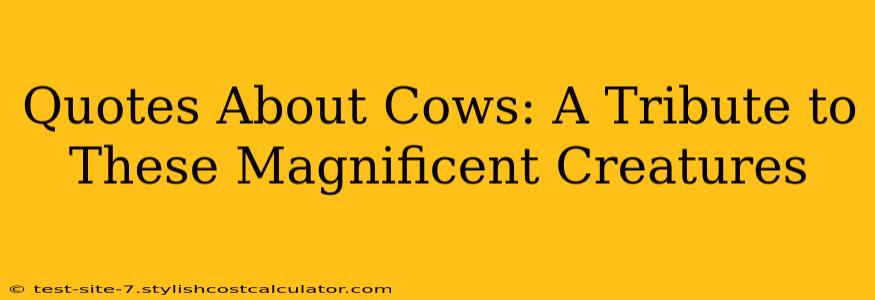 Quotes About Cows: A Tribute to These Magnificent Creatures