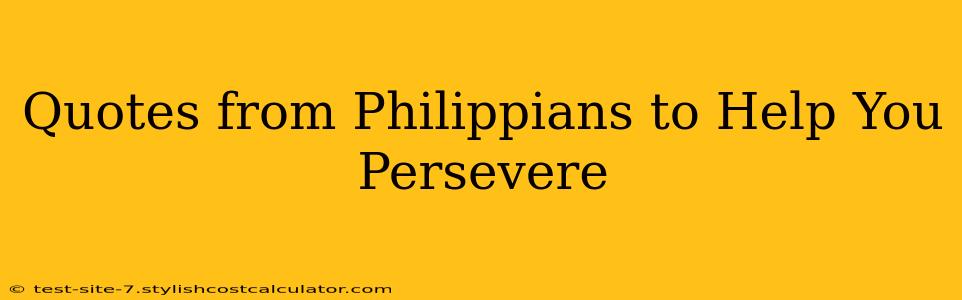 Quotes from Philippians to Help You Persevere