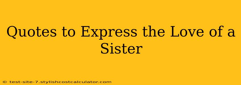 Quotes to Express the Love of a Sister