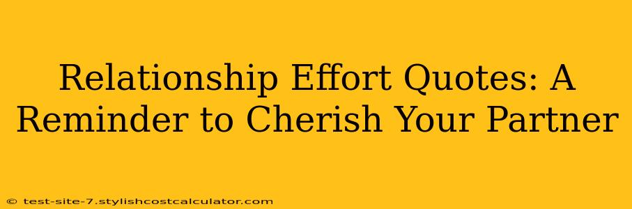 Relationship Effort Quotes: A Reminder to Cherish Your Partner