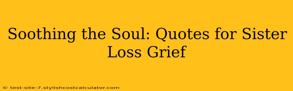 Soothing the Soul: Quotes for Sister Loss Grief