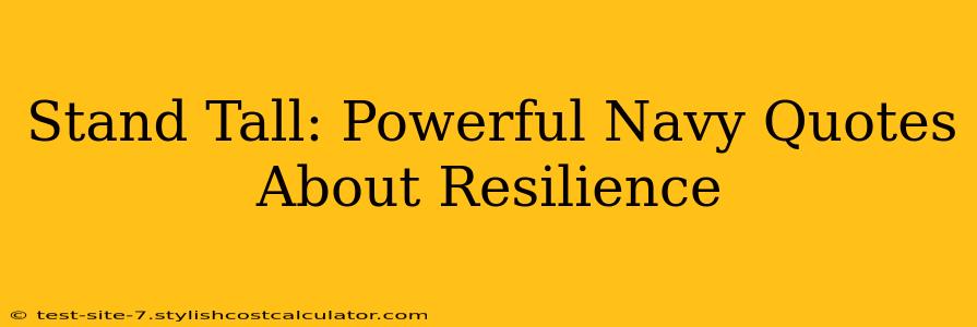Stand Tall: Powerful Navy Quotes About Resilience