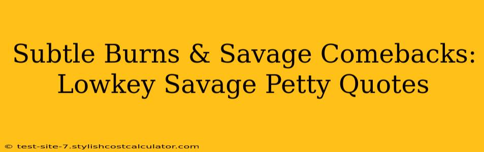 Subtle Burns & Savage Comebacks: Lowkey Savage Petty Quotes
