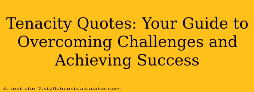 Tenacity Quotes: Your Guide to Overcoming Challenges and Achieving Success