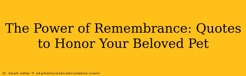 The Power of Remembrance: Quotes to Honor Your Beloved Pet