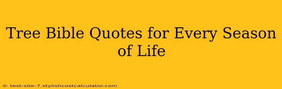 Tree Bible Quotes for Every Season of Life